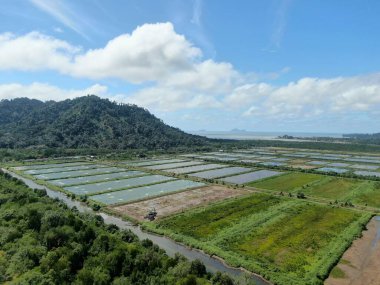 Sarawak, Malezya 'nın Santubong bölgesinde bir balıkçılık ve karides çiftliğinin havadan görünüşü