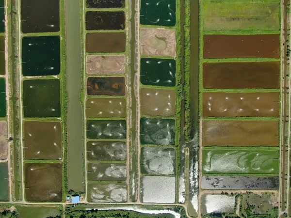 マレーシア サラワク州のサンチュオン地域における養殖場とエビ養殖場の空中風景 — ストック写真