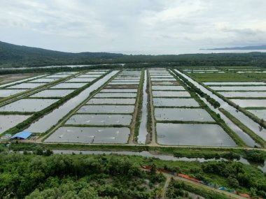 Sarawak, Malezya 'nın Santubong bölgesinde bir balıkçılık ve karides çiftliğinin havadan görünüşü