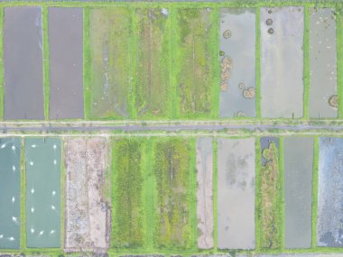 Sarawak, Malezya 'nın Santubong bölgesinde bir balıkçılık ve karides çiftliğinin havadan görünüşü