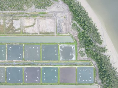 Sarawak, Malezya 'nın Santubong bölgesinde bir balıkçılık ve karides çiftliğinin havadan görünüşü