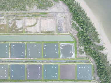 Sarawak, Malezya 'nın Santubong bölgesinde bir balıkçılık ve karides çiftliğinin havadan görünüşü