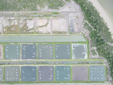 Sarawak, Malezya 'nın Santubong bölgesinde bir balıkçılık ve karides çiftliğinin havadan görünüşü