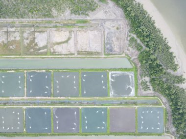 Sarawak, Malezya 'nın Santubong bölgesinde bir balıkçılık ve karides çiftliğinin havadan görünüşü