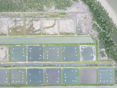 Sarawak, Malezya 'nın Santubong bölgesinde bir balıkçılık ve karides çiftliğinin havadan görünüşü