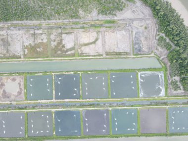 Sarawak, Malezya 'nın Santubong bölgesinde bir balıkçılık ve karides çiftliğinin havadan görünüşü