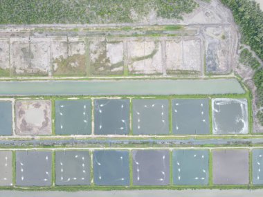 Sarawak, Malezya 'nın Santubong bölgesinde bir balıkçılık ve karides çiftliğinin havadan görünüşü