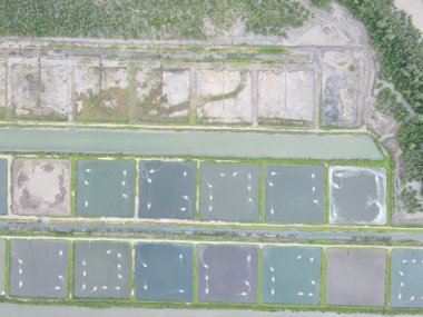 Sarawak, Malezya 'nın Santubong bölgesinde bir balıkçılık ve karides çiftliğinin havadan görünüşü