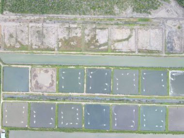 Sarawak, Malezya 'nın Santubong bölgesinde bir balıkçılık ve karides çiftliğinin havadan görünüşü