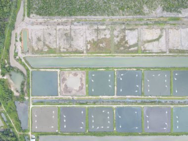 Sarawak, Malezya 'nın Santubong bölgesinde bir balıkçılık ve karides çiftliğinin havadan görünüşü