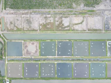 Sarawak, Malezya 'nın Santubong bölgesinde bir balıkçılık ve karides çiftliğinin havadan görünüşü