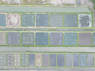 Sarawak, Malezya 'nın Santubong bölgesinde bir balıkçılık ve karides çiftliğinin havadan görünüşü