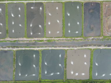 Sarawak, Malezya 'nın Santubong bölgesinde bir balıkçılık ve karides çiftliğinin havadan görünüşü