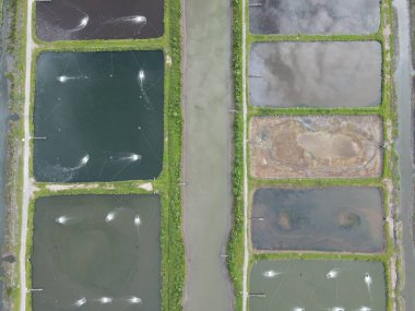 Sarawak, Malezya 'nın Santubong bölgesinde bir balıkçılık ve karides çiftliğinin havadan görünüşü