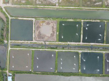 Sarawak, Malezya 'nın Santubong bölgesinde bir balıkçılık ve karides çiftliğinin havadan görünüşü