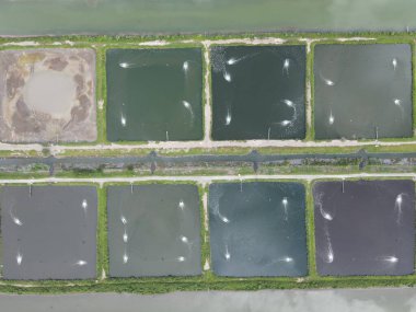 Sarawak, Malezya 'nın Santubong bölgesinde bir balıkçılık ve karides çiftliğinin havadan görünüşü