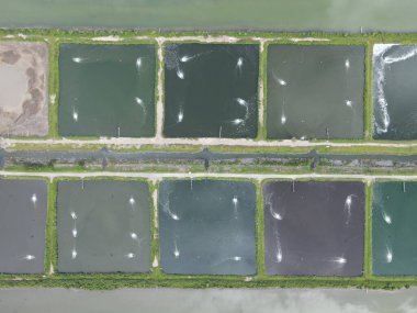 Sarawak, Malezya 'nın Santubong bölgesinde bir balıkçılık ve karides çiftliğinin havadan görünüşü