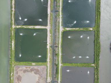 Sarawak, Malezya 'nın Santubong bölgesinde bir balıkçılık ve karides çiftliğinin havadan görünüşü