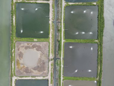 Sarawak, Malezya 'nın Santubong bölgesinde bir balıkçılık ve karides çiftliğinin havadan görünüşü