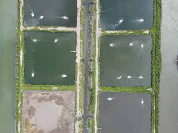 Vista Aérea Una Granja Pesca Camarones Zona Santubong Sarawak Malasia — Foto de Stock