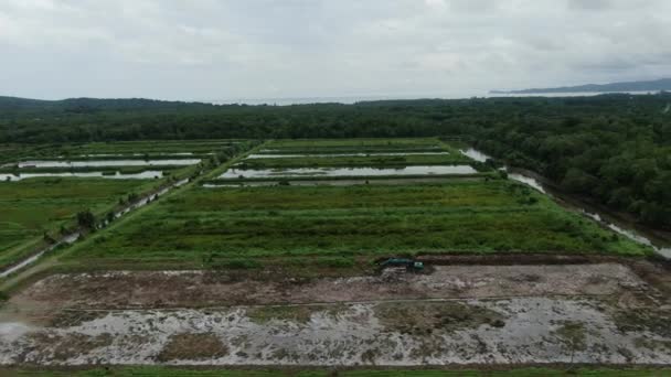 Vista Aérea Una Granja Pesca Camarones Zona Santubong Sarawak Malasia — Vídeos de Stock