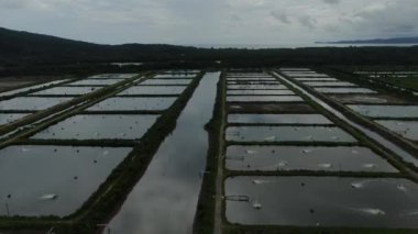 Sarawak, Malezya 'nın Santubong bölgesinde bir balıkçılık ve karides çiftliğinin havadan görünüşü