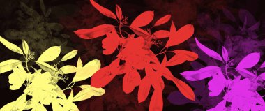 Rastgele çiçek ve yaprakların yaratıcı sanatsal çizimleri