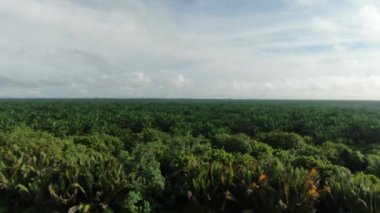 Sarawak 'taki Palm Oil Konutları, Borneo Adası, Malezya