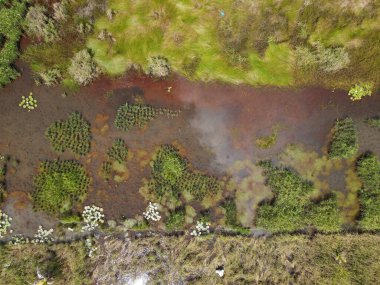 Çiftçilerin çalıştığı bir çeltik tarlasının yukarıdan aşağıya bakan görüntüsü. Skuduk Köyü, Sarawak, Malezya. Bir çeltik tarlası, kulübeler, ağaçlar ve çiftçilerin genel manzarası..