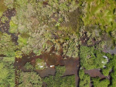 Çiftçilerin çalıştığı bir çeltik tarlasının yukarıdan aşağıya bakan görüntüsü. Skuduk Köyü, Sarawak, Malezya. Bir çeltik tarlası, kulübeler, ağaçlar ve çiftçilerin genel manzarası..