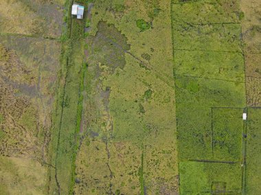 Çiftçilerin çalıştığı bir çeltik tarlasının yukarıdan aşağıya bakan görüntüsü. Skuduk Köyü, Sarawak, Malezya. Bir çeltik tarlası, kulübeler, ağaçlar ve çiftçilerin genel manzarası..
