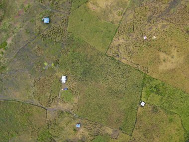 Çiftçilerin çalıştığı bir çeltik tarlasının yukarıdan aşağıya bakan görüntüsü. Skuduk Köyü, Sarawak, Malezya. Bir çeltik tarlası, kulübeler, ağaçlar ve çiftçilerin genel manzarası..