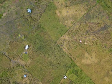 Çiftçilerin çalıştığı bir çeltik tarlasının yukarıdan aşağıya bakan görüntüsü. Skuduk Köyü, Sarawak, Malezya. Bir çeltik tarlası, kulübeler, ağaçlar ve çiftçilerin genel manzarası..