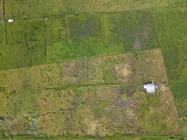Çiftçilerin çalıştığı bir çeltik tarlasının yukarıdan aşağıya bakan görüntüsü. Skuduk Köyü, Sarawak, Malezya. Bir çeltik tarlası, kulübeler, ağaçlar ve çiftçilerin genel manzarası..