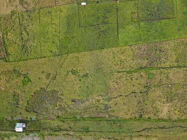 Çiftçilerin çalıştığı bir çeltik tarlasının yukarıdan aşağıya bakan görüntüsü. Skuduk Köyü, Sarawak, Malezya. Bir çeltik tarlası, kulübeler, ağaçlar ve çiftçilerin genel manzarası..