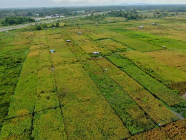 Çiftçilerin çalıştığı bir çeltik tarlasının yukarıdan aşağıya bakan görüntüsü. Skuduk Köyü, Sarawak, Malezya. Bir çeltik tarlası, kulübeler, ağaçlar ve çiftçilerin genel manzarası..