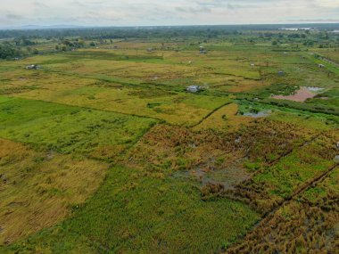 Çiftçilerin çalıştığı bir çeltik tarlasının yukarıdan aşağıya bakan görüntüsü. Skuduk Köyü, Sarawak, Malezya. Bir çeltik tarlası, kulübeler, ağaçlar ve çiftçilerin genel manzarası..
