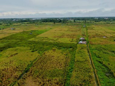 Çiftçilerin çalıştığı bir çeltik tarlasının yukarıdan aşağıya bakan görüntüsü. Skuduk Köyü, Sarawak, Malezya. Bir çeltik tarlası, kulübeler, ağaçlar ve çiftçilerin genel manzarası..