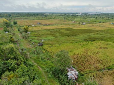 Çiftçilerin çalıştığı bir çeltik tarlasının yukarıdan aşağıya bakan görüntüsü. Skuduk Köyü, Sarawak, Malezya. Bir çeltik tarlası, kulübeler, ağaçlar ve çiftçilerin genel manzarası..
