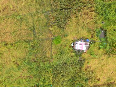 Çiftçilerin çalıştığı bir çeltik tarlasının yukarıdan aşağıya bakan görüntüsü. Skuduk Köyü, Sarawak, Malezya. Bir çeltik tarlası, kulübeler, ağaçlar ve çiftçilerin genel manzarası..