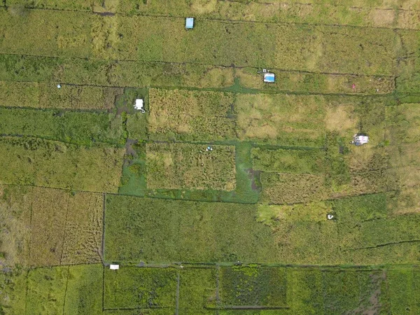 Çiftçilerin çalıştığı bir çeltik tarlasının yukarıdan aşağıya bakan görüntüsü. Skuduk Köyü, Sarawak, Malezya. Bir çeltik tarlası, kulübeler, ağaçlar ve çiftçilerin genel manzarası..