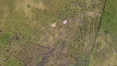 Çiftçilerin çalıştığı bir çeltik tarlasının yukarıdan aşağıya bakan görüntüsü. Skuduk Köyü, Sarawak, Malezya. Bir çeltik tarlası, kulübeler, ağaçlar ve çiftçilerin genel manzarası..