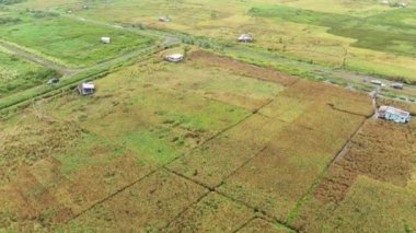 Çiftçilerin çalıştığı bir çeltik tarlasının yukarıdan aşağıya bakan görüntüsü. Skuduk Köyü, Sarawak, Malezya. Bir çeltik tarlası, kulübeler, ağaçlar ve çiftçilerin genel manzarası..