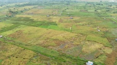 Çiftçilerin çalıştığı bir çeltik tarlasının yukarıdan aşağıya bakan görüntüsü. Skuduk Köyü, Sarawak, Malezya. Bir çeltik tarlası, kulübeler, ağaçlar ve çiftçilerin genel manzarası..