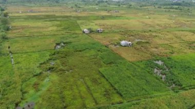 Çiftçilerin çalıştığı bir çeltik tarlasının yukarıdan aşağıya bakan görüntüsü. Skuduk Köyü, Sarawak, Malezya. Bir çeltik tarlası, kulübeler, ağaçlar ve çiftçilerin genel manzarası..