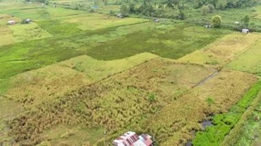 Çiftçilerin çalıştığı bir çeltik tarlasının yukarıdan aşağıya bakan görüntüsü. Skuduk Köyü, Sarawak, Malezya. Bir çeltik tarlası, kulübeler, ağaçlar ve çiftçilerin genel manzarası..