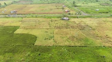 Çiftçilerin çalıştığı bir çeltik tarlasının yukarıdan aşağıya bakan görüntüsü. Skuduk Köyü, Sarawak, Malezya. Bir çeltik tarlası, kulübeler, ağaçlar ve çiftçilerin genel manzarası..