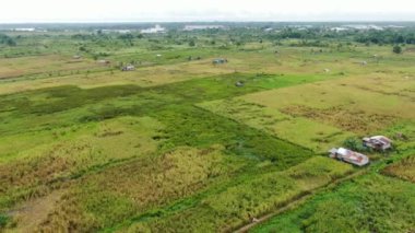 Çiftçilerin çalıştığı bir çeltik tarlasının yukarıdan aşağıya bakan görüntüsü. Skuduk Köyü, Sarawak, Malezya. Bir çeltik tarlası, kulübeler, ağaçlar ve çiftçilerin genel manzarası..