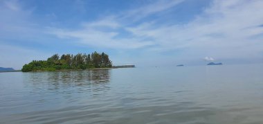 Malezya 'nın Borneo Adası' nın nehir kıyısındaki Mangrove bataklık ormanları