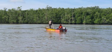 Malezya 'nın Borneo Adası' nın nehir kıyısındaki Mangrove bataklık ormanları